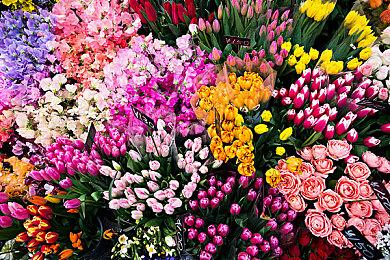 微软AI辅助工具Copilot即将登陆Xbox 主机